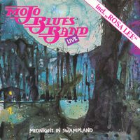 Midnight In Swampland